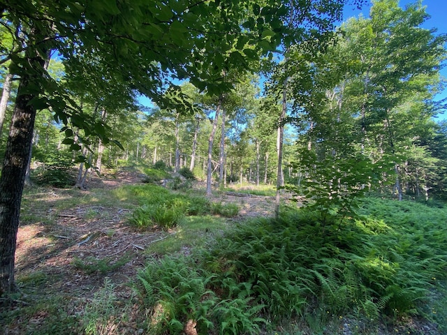 LOT11B-1 Blair Hill Rd, Greenville, ME 04441 - photo 17