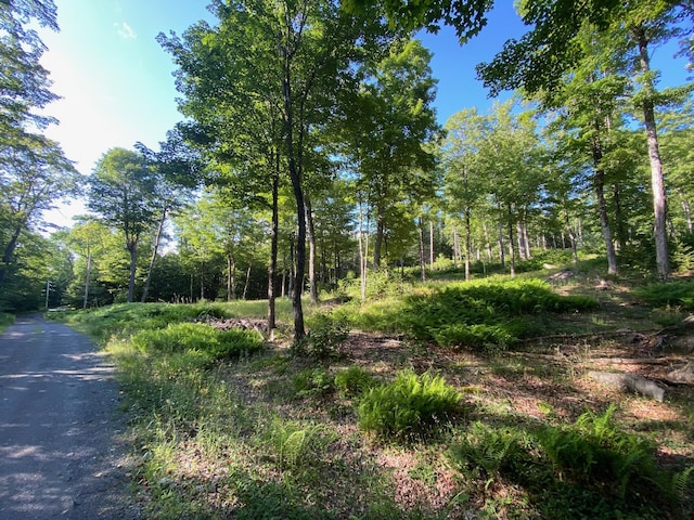 LOT11B-1 Blair Hill Rd, Greenville, ME 04441 - photo 2