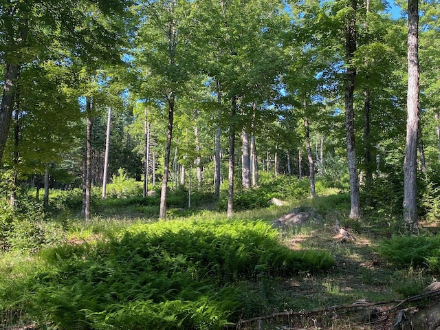 LOT11B-1 Blair Hill Rd, Greenville, ME 04441 - photo 4