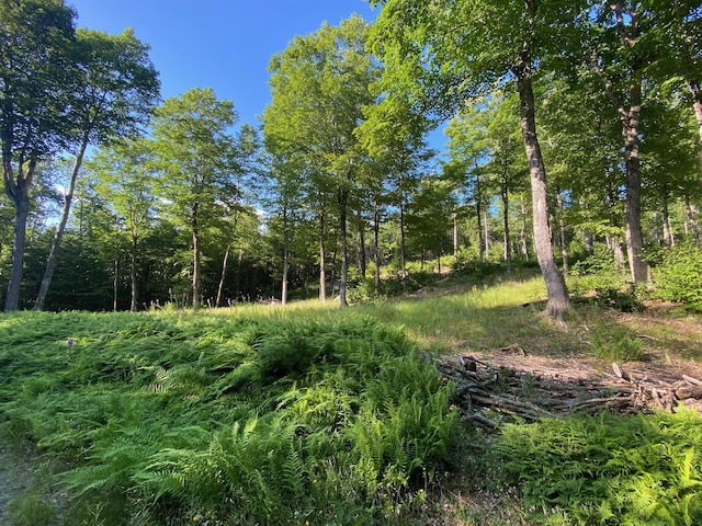 LOT11B-1 Blair Hill Rd, Greenville, ME 04441 - photo 11