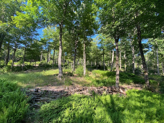 LOT11B-1 Blair Hill Rd, Greenville, ME 04441 - photo 16