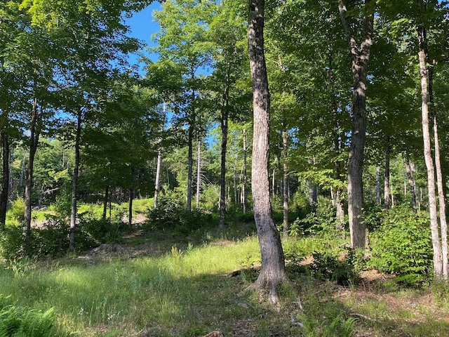 LOT11B-1 Blair Hill Rd, Greenville, ME 04441 - photo 20
