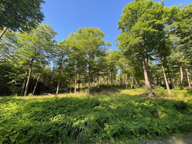 LOT11B-1 Blair Hill Rd, Greenville, ME 04441 - photo 23
