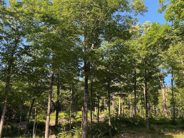 LOT11B-1 Blair Hill Rd, Greenville, ME 04441 - photo 21