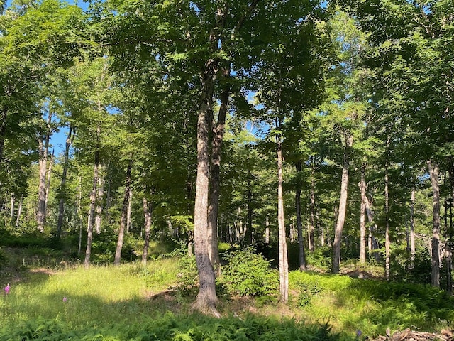 LOT11B-1 Blair Hill Rd, Greenville, ME 04441 - photo 6