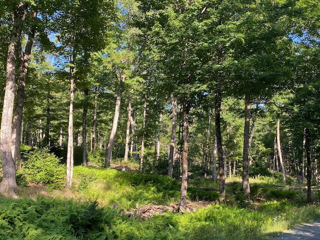 LOT11B-1 Blair Hill Rd, Greenville, ME 04441 - photo 18