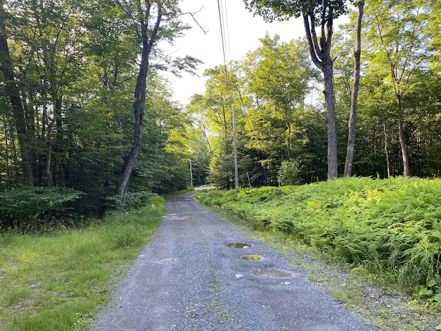 LOT11B-1 Blair Hill Rd, Greenville, ME 04441 - photo 19