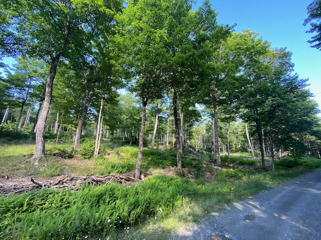LOT11B-1 Blair Hill Rd, Greenville, ME 04441 - photo 25