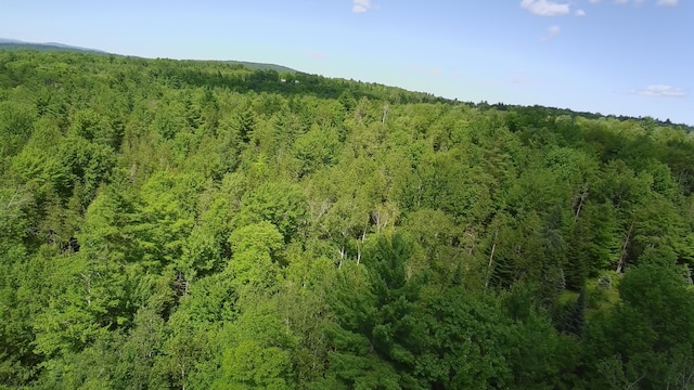 163 Blaine Ave, Guilford, ME 04443 - photo 71