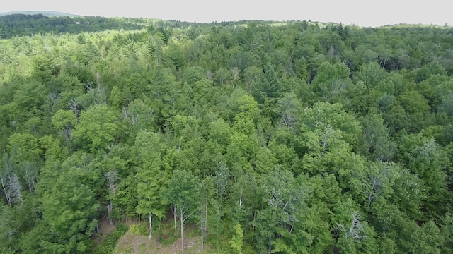 163 Blaine Ave, Guilford, ME 04443 - photo 72