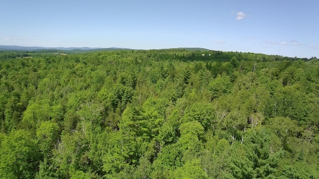 163 Blaine Ave, Guilford, ME 04443 - photo 73