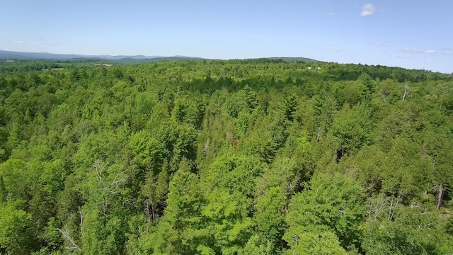 163 Blaine Ave, Guilford, ME 04443 - photo 74