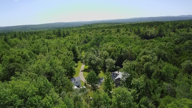 163 Blaine Ave, Guilford, ME 04443 - photo 69