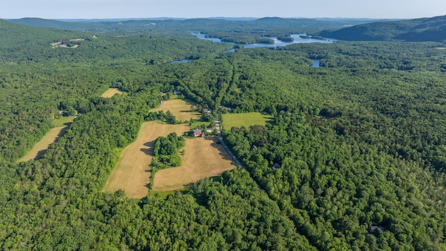 43 Melvin Heights Rd, Camden, ME 04843 - photo 4