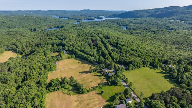 43 Melvin Heights Rd, Camden, ME 04843 - photo 3