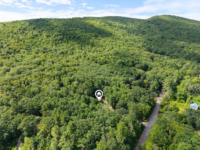 94 Hiram Hill Rd, Hiram, ME 04041 - photo 41
