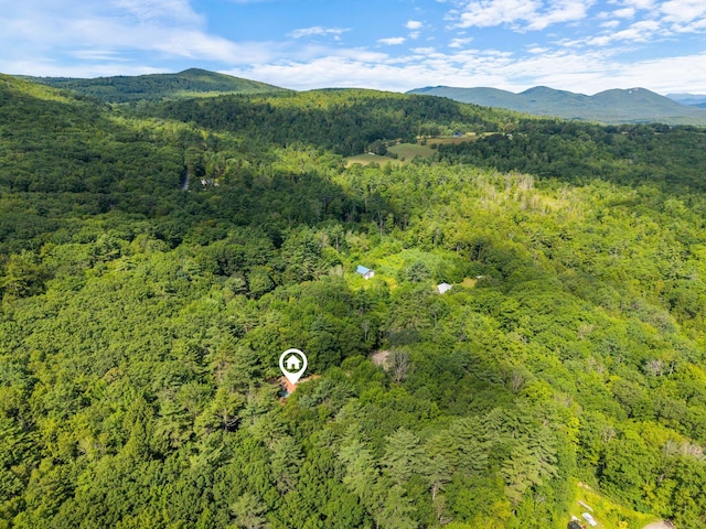 94 Hiram Hill Rd, Hiram, ME 04041 - photo 42