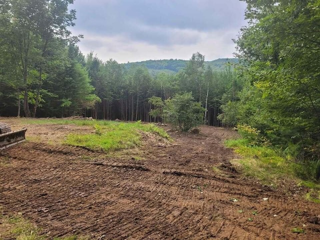 15 Richardson Rd, Hiram, ME 04041 - photo 2