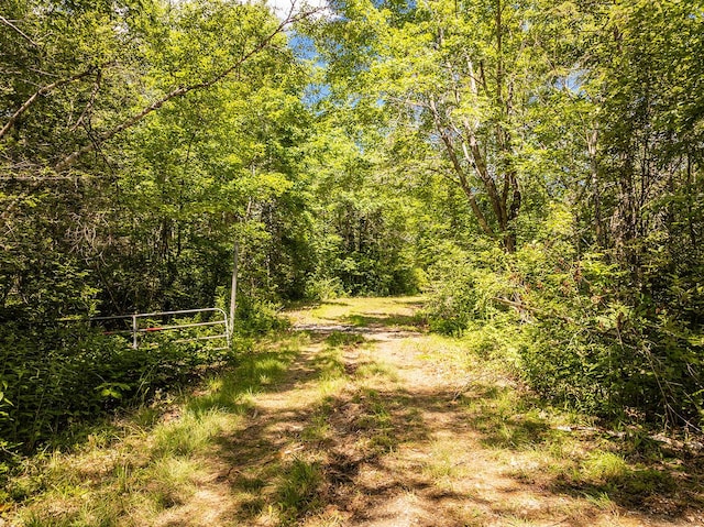 LOT3 Aldus Shores Rd, Searsmont, ME 04973 - photo 10