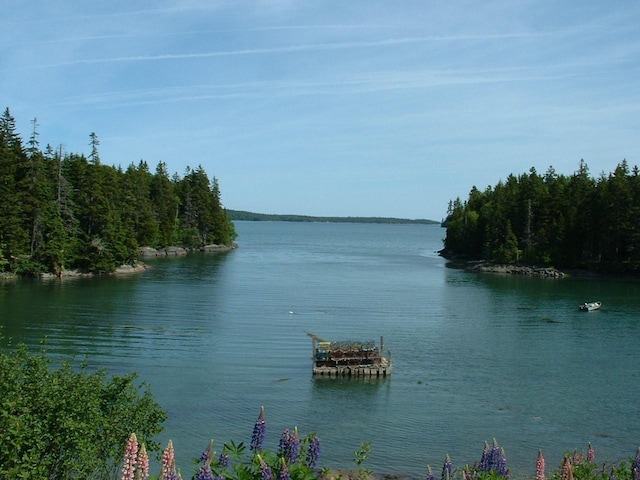 LOT95 N Duck Cove Rd, Roque Bluffs, ME 04654 - photo 21