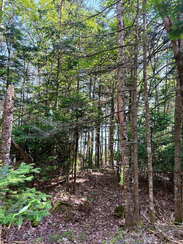 LOT95 N Duck Cove Rd, Roque Bluffs, ME 04654 - photo 10