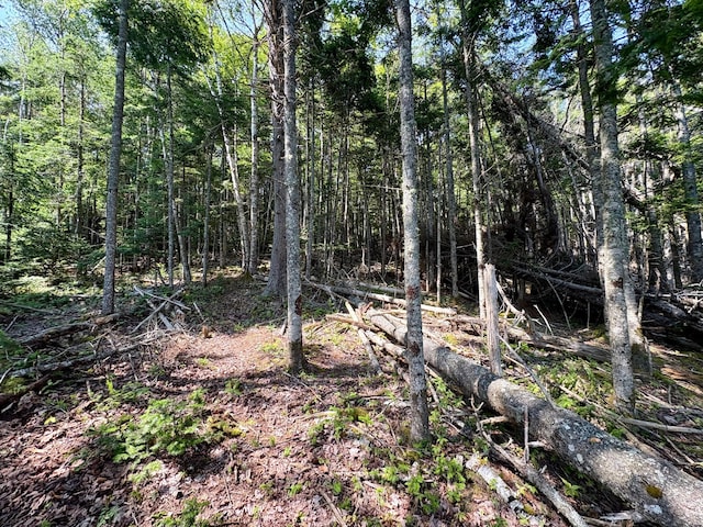 LOT95 N Duck Cove Rd, Roque Bluffs, ME 04654 - photo 12