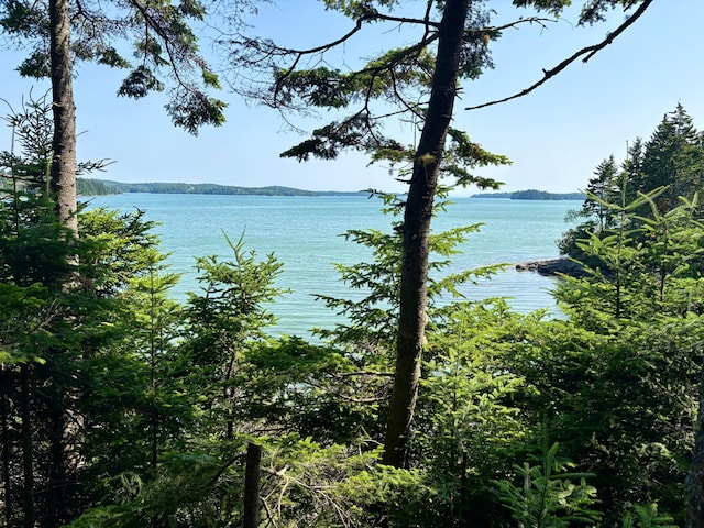 LOT95 N Duck Cove Rd, Roque Bluffs, ME 04654 - photo 18