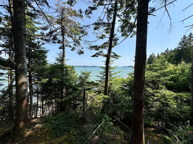 LOT95 N Duck Cove Rd, Roque Bluffs, ME 04654 - photo 17