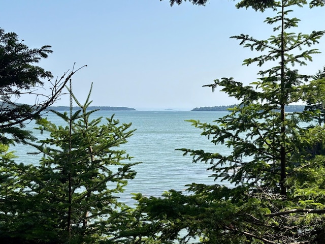 LOT95 N Duck Cove Rd, Roque Bluffs, ME 04654 - photo 8