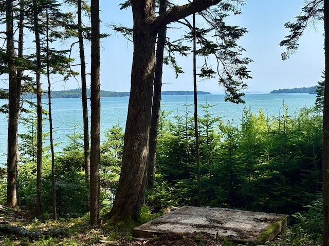LOT95 N Duck Cove Rd, Roque Bluffs, ME 04654 - photo 16