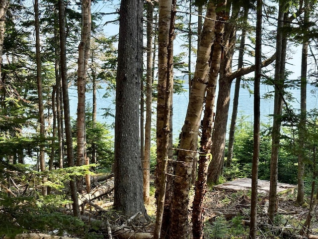 LOT95 N Duck Cove Rd, Roque Bluffs, ME 04654 - photo 14