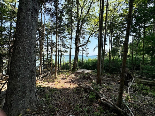 LOT95 N Duck Cove Rd, Roque Bluffs, ME 04654 - photo 15