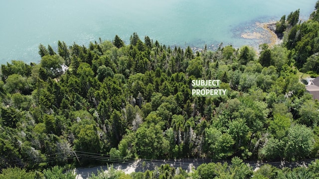 LOT95 N Duck Cove Rd, Roque Bluffs, ME 04654 - photo 3
