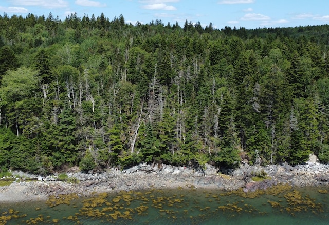 LOT95 N Duck Cove Rd, Roque Bluffs, ME 04654 - photo 7