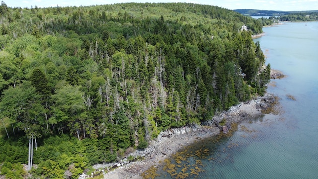 LOT95 N Duck Cove Rd, Roque Bluffs, ME 04654 - photo 6