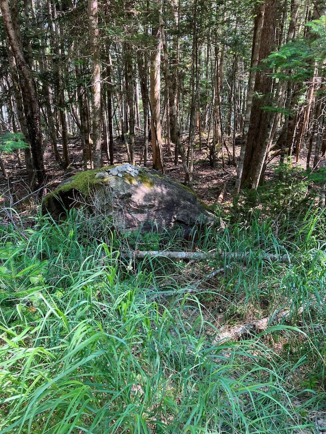 LOT95 N Duck Cove Rd, Roque Bluffs, ME 04654 - photo 9