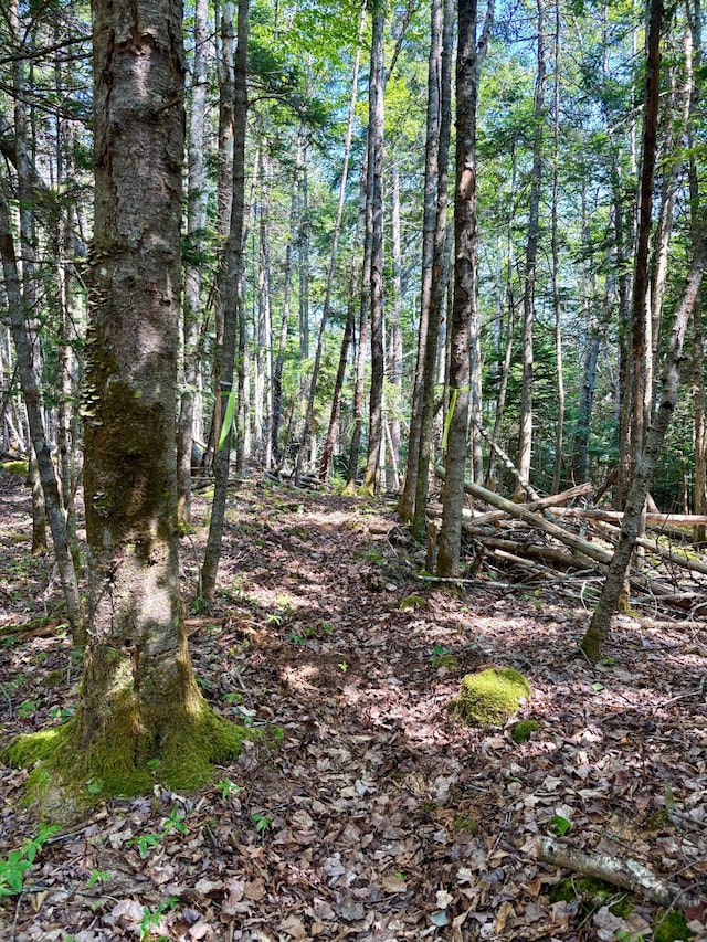 LOT95 N Duck Cove Rd, Roque Bluffs, ME 04654 - photo 11