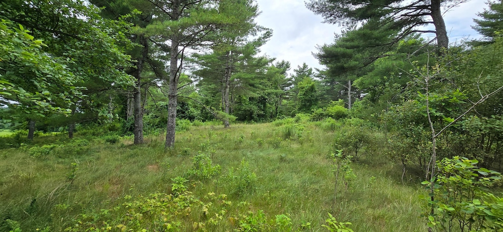 Harry Howes Ext, Sanford, ME 04073 - photo 3