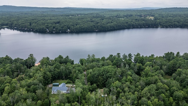 112 Birch Dr, Poland, ME 04274 - photo 79