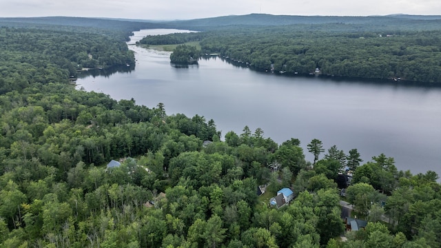 112 Birch Dr, Poland, ME 04274 - photo 81