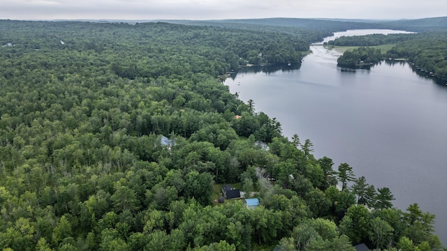 112 Birch Dr, Poland, ME 04274 - photo 82