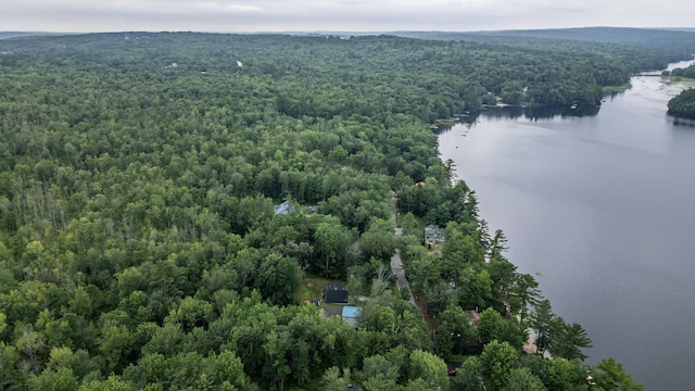 112 Birch Dr, Poland, ME 04274 - photo 83