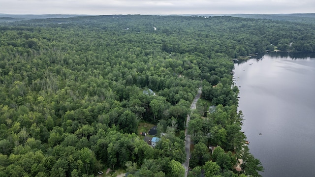 112 Birch Dr, Poland, ME 04274 - photo 84