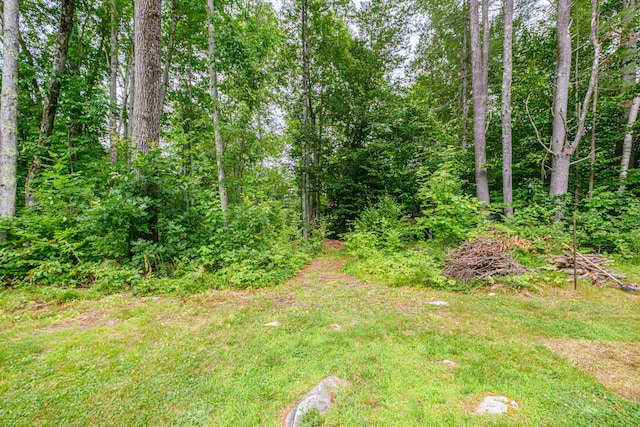 112 Birch Dr, Poland, ME 04274 - photo 63