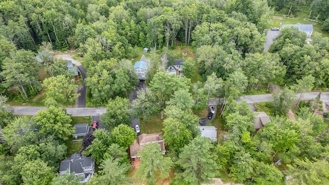 112 Birch Dr, Poland, ME 04274 - photo 72