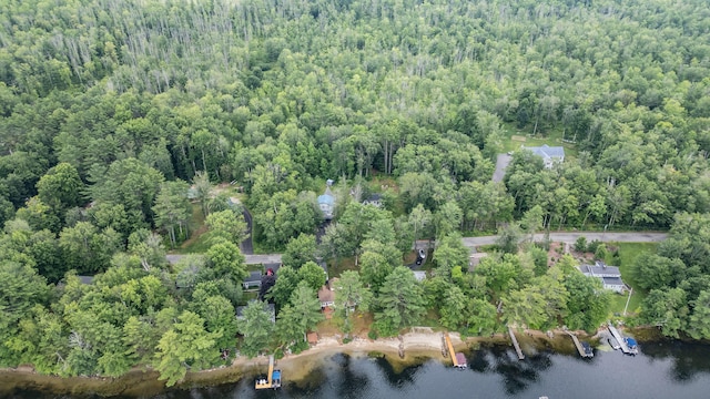 112 Birch Dr, Poland, ME 04274 - photo 73