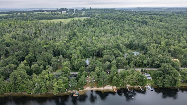 112 Birch Dr, Poland, ME 04274 - photo 74