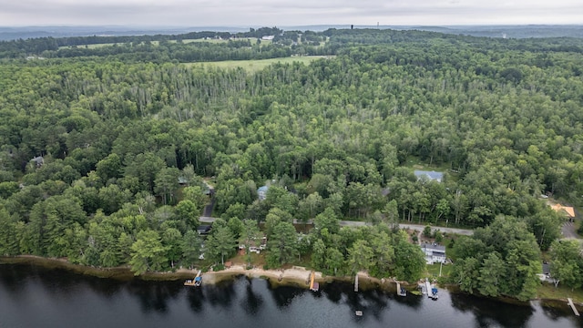 112 Birch Dr, Poland, ME 04274 - photo 75