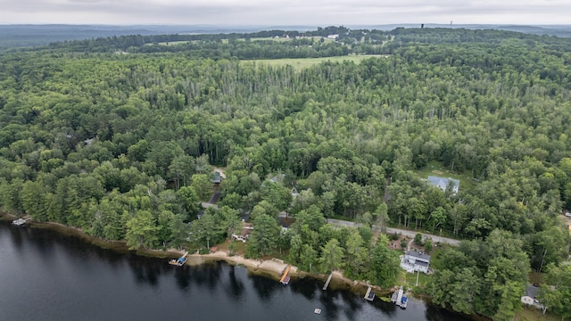 112 Birch Dr, Poland, ME 04274 - photo 76