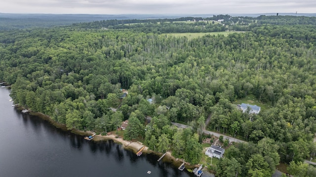112 Birch Dr, Poland, ME 04274 - photo 77